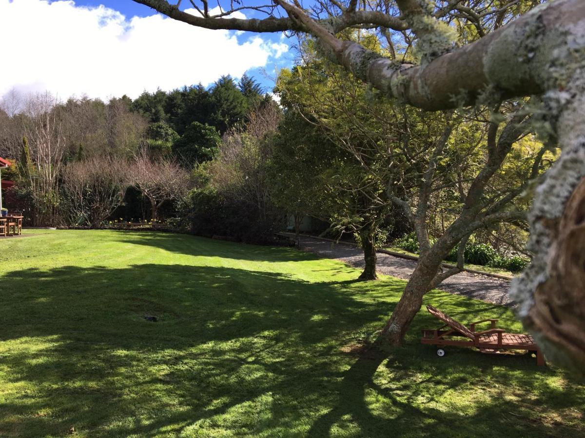 Bed and Breakfast Beynon&Bolton'S Country Loft Escape Katikati Exterior foto