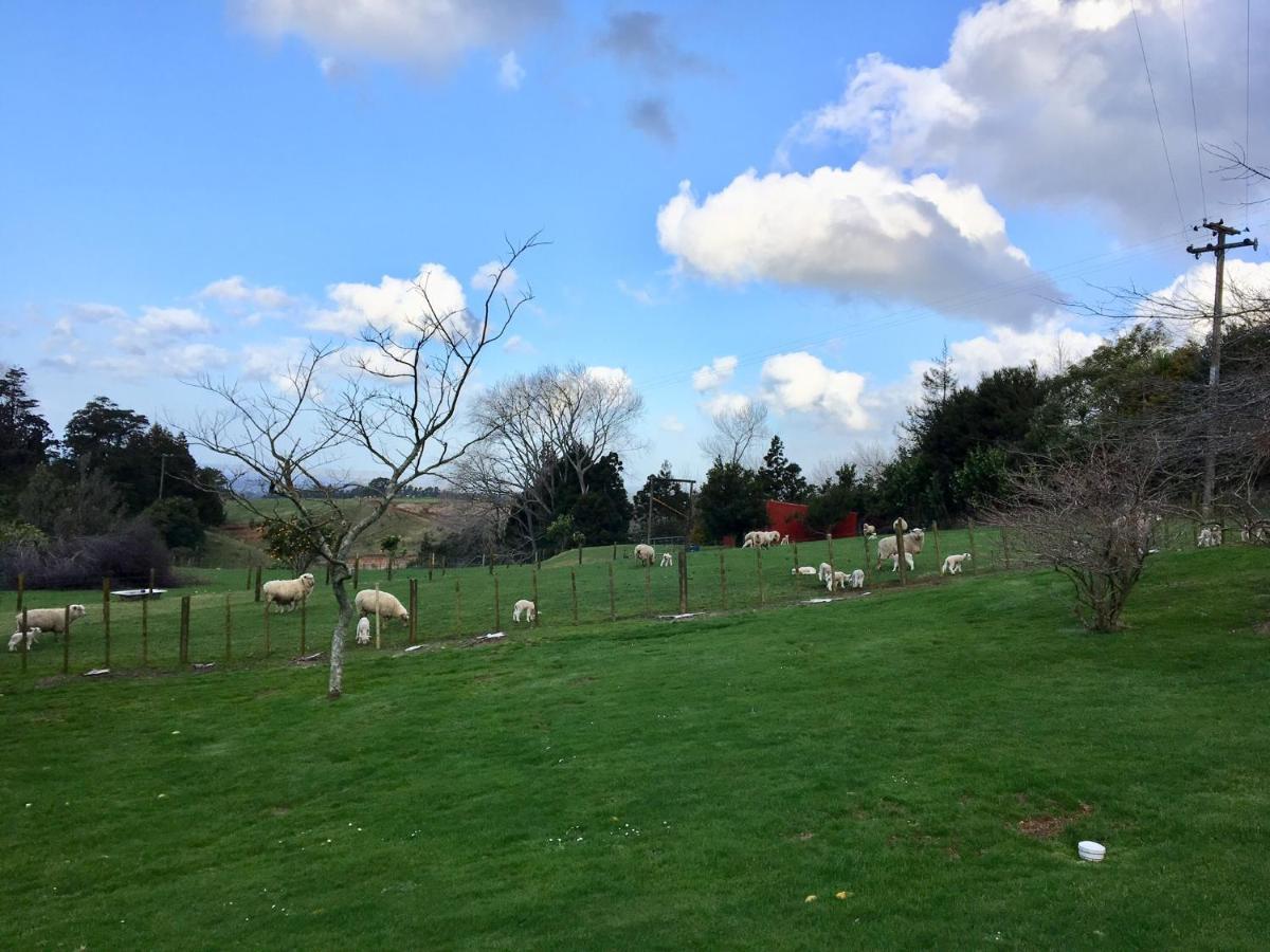 Bed and Breakfast Beynon&Bolton'S Country Loft Escape Katikati Exterior foto
